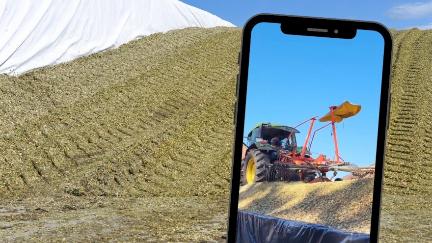 Farmer otkriva jednostavan trik: Kako savršeno pokriti silažu?