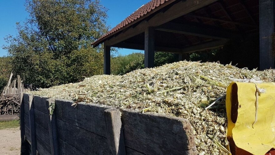 Farmeri primorani kupovati silažu - cijene od 80 do 120 KM po toni!