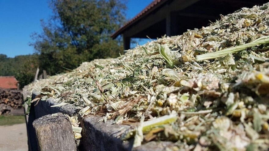 Šta je važno u pravljenju kvalitetne silaže?