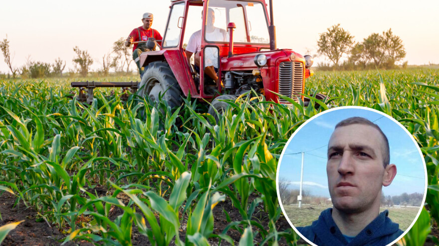 Marko Bošnjak: Istrijebio sam sve maline u sat i pol i zasadio silažu