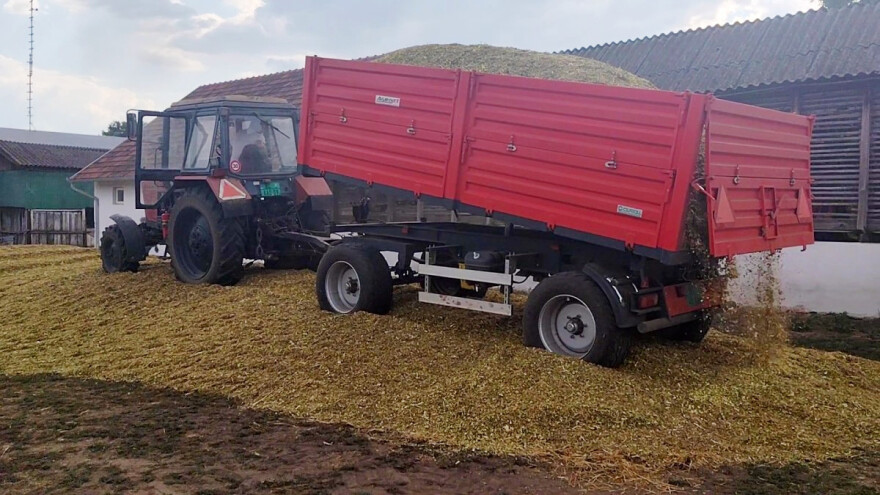 Kako u najkraćim crtama treba da teče postupak siliranja kukuruza?