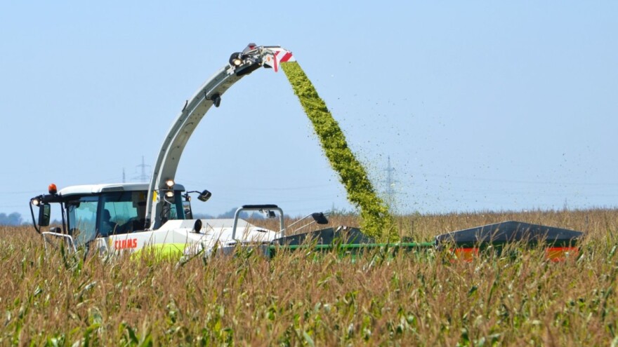 Prijavi svoj uzorak i sudjeluj u IV. natjecanju u kvaliteti kukuruzne silaže