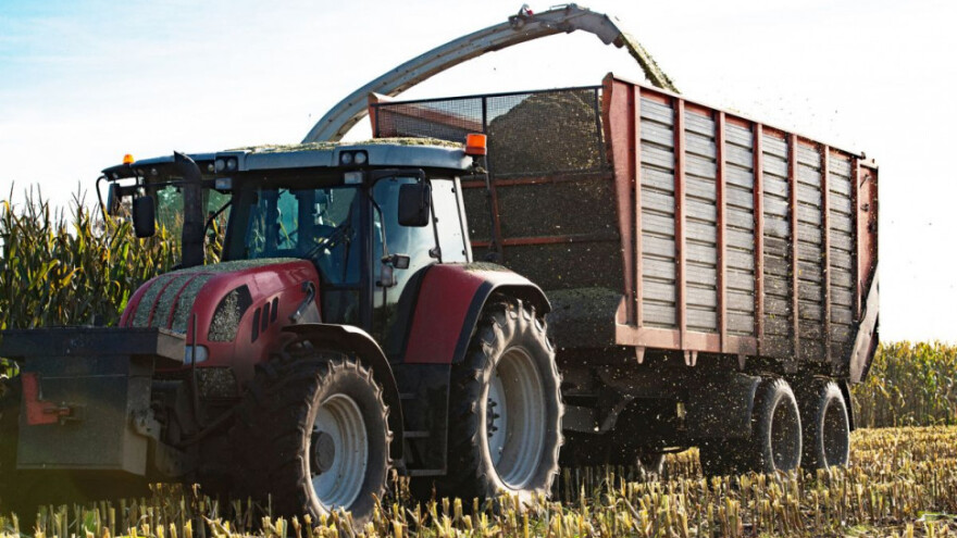 Što zbog suše možemo očekivati od kukuruza?