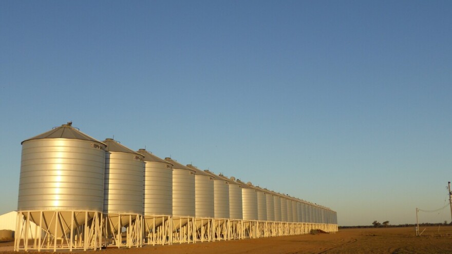 Slab promet na berzi - pšenicom se nije trgovalo