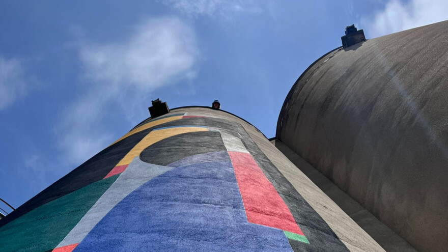 Na čačanskim silosima osvanuli murali: Šljiva u pikselima