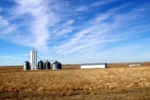 Raspuknuo se silos, iscurilo 1.000 tona kukuruza