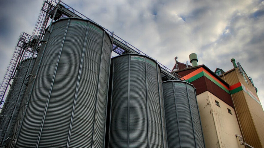 Cijena kukuruza u studenom bila 1,02 kn/kg