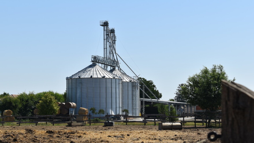 Koje su mere za zaštitu uskladištenog žita?