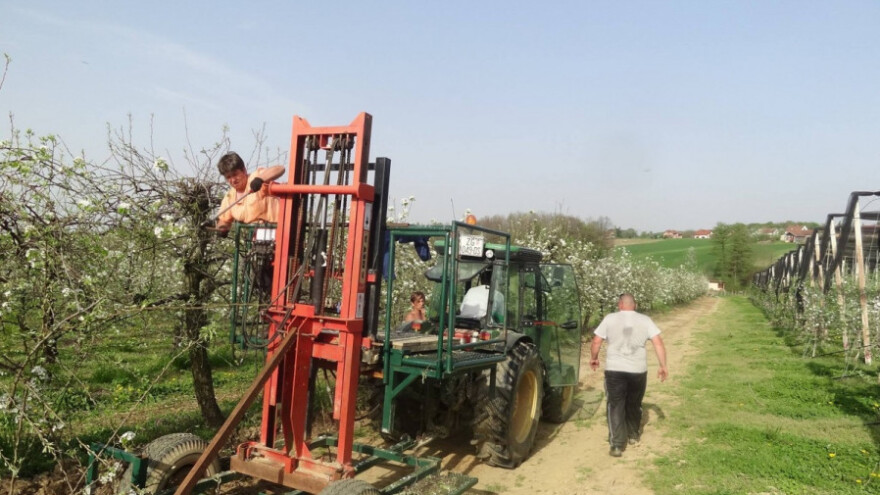 Mjerom 4 do konkurentnosti hrvatskih jabuka