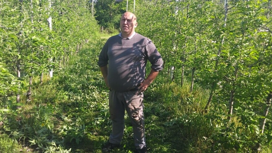 Poznata voćarska porodica Panić: Bez mreže nema proizvodnje jabuke