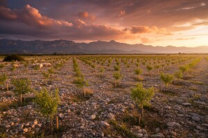 Sinjsko polje zapušteni El Dorado