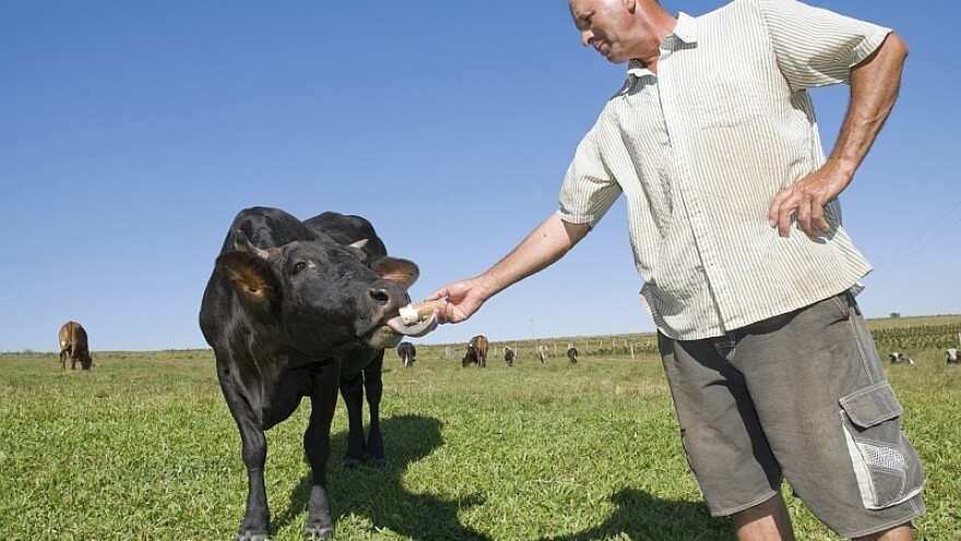 Zašto lokalna hrana i kratki lanci opskrbe?