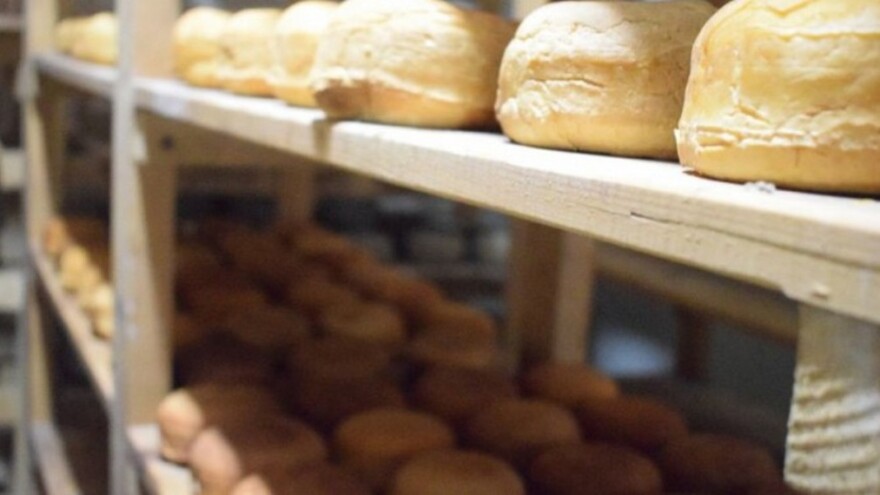 Maid Smaić: Počeli sa 10 grla, a danas imaju 240 kooperanata i otkupljuju dva miliona litara mlijeka