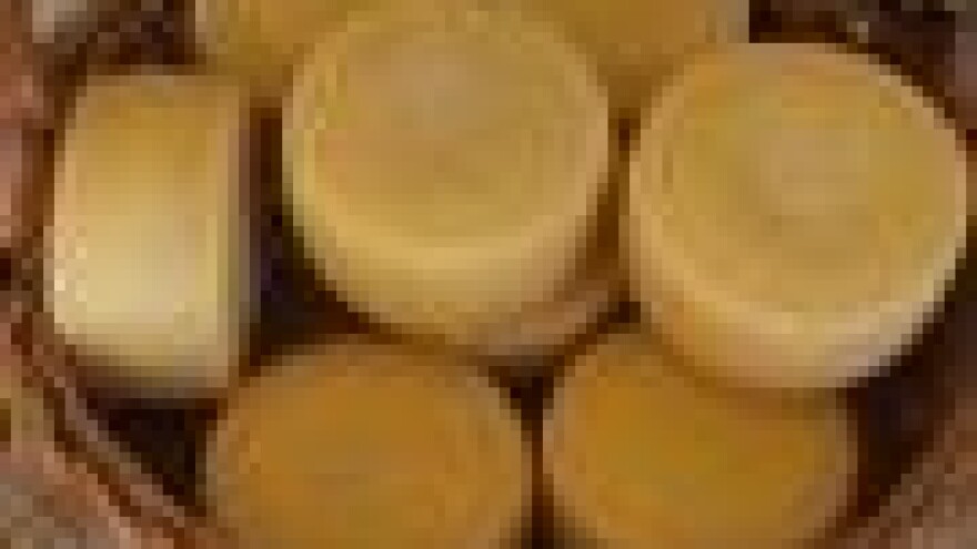 Dan sira Karlovačke županije