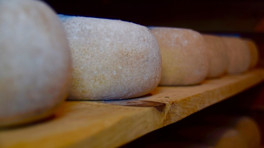 Mljekara Livno planira izvoz u Rusiju i Tursku, ali i vlastitu proizvodnju mlijeka