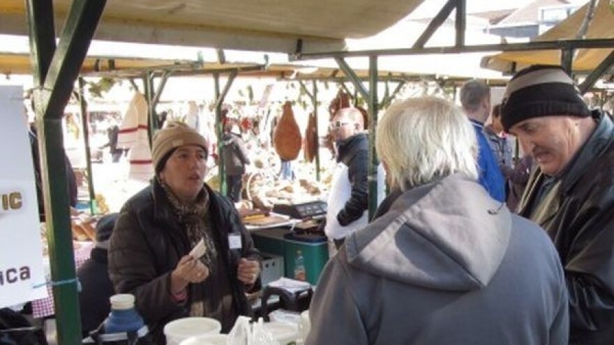 Izbor najboljeg sira u Grubišnom Polju!