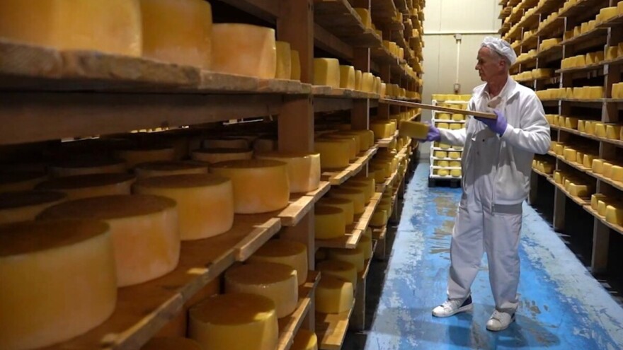 Tri "oskara" za Livanjski sir: Nagrađen među više od 4.700 sireva