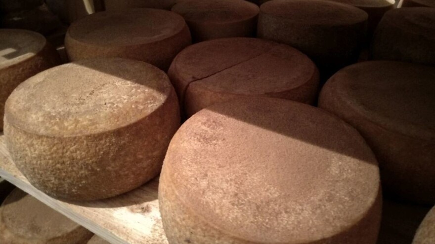 Pirotski kačkavalj kandidat za međunarodnu zaštitu proizvoda sa geografskim poreklom