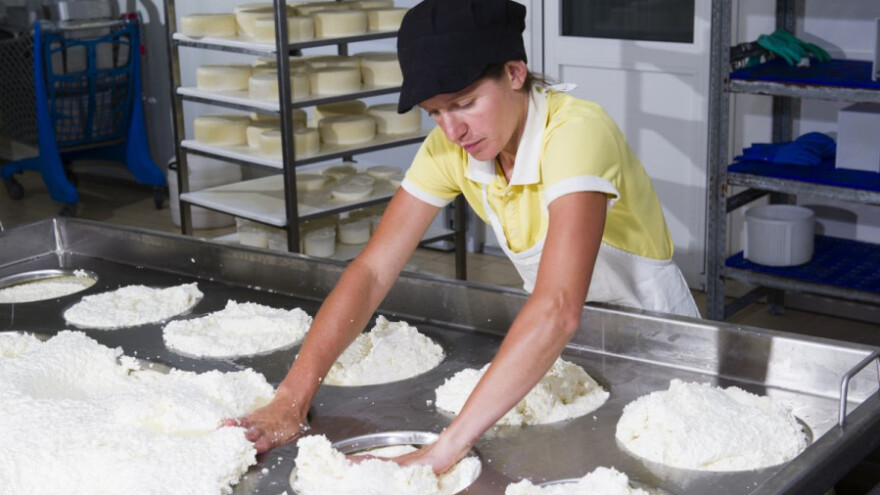 BiH izvezla sira za 5, a uvezla za 67 miliona KM!