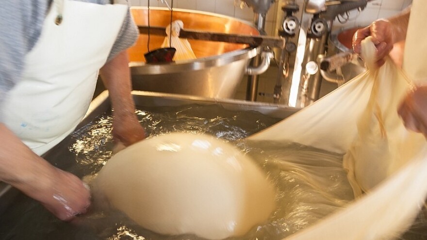 Kvaliteta sira nagrađena zlatnim medaljama