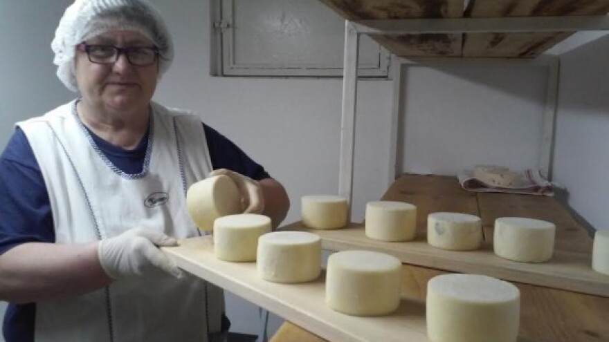 IPARD sredstva za proizvodnju mlijeka i sira