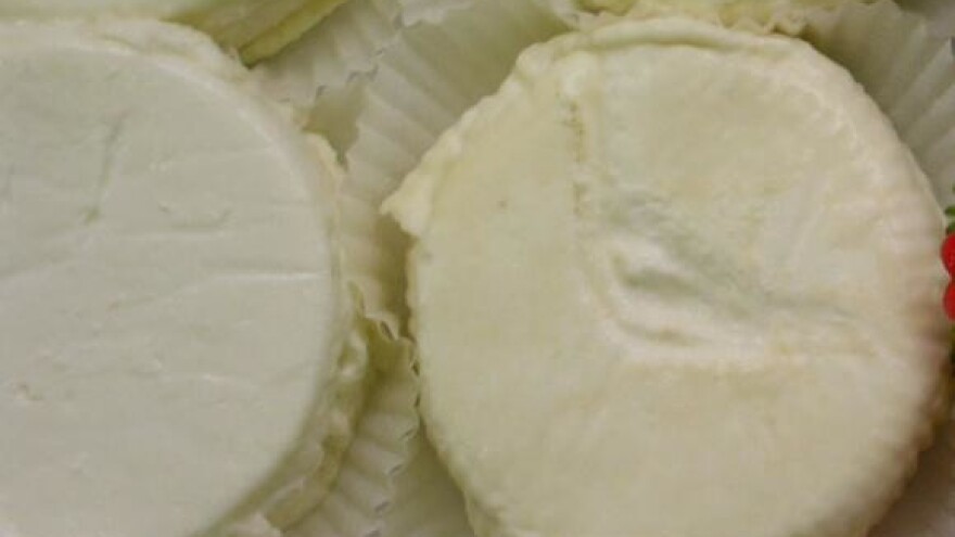 Otvorena mini sirana na OPG-u Lamot