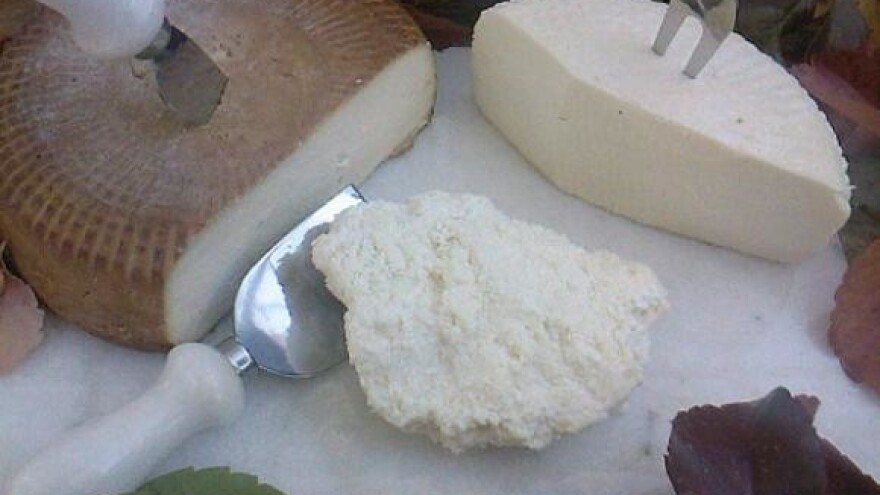 Korak do zaštite sira turuša