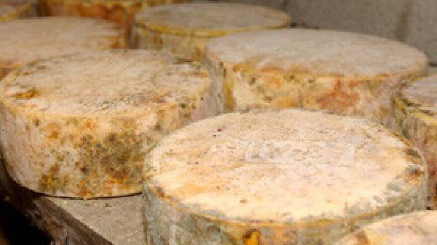 Paški sir obitelji Oliverić nagrađen zlatom