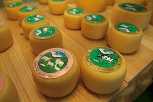 Tradicionalnom proizvodnjom do vrhunskog sira