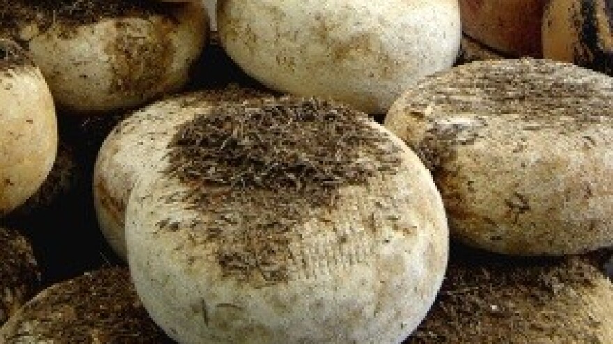 Sir iz mišine kreće u Europu