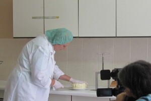 Bilogorski mljekari budućnost vide u - siru!