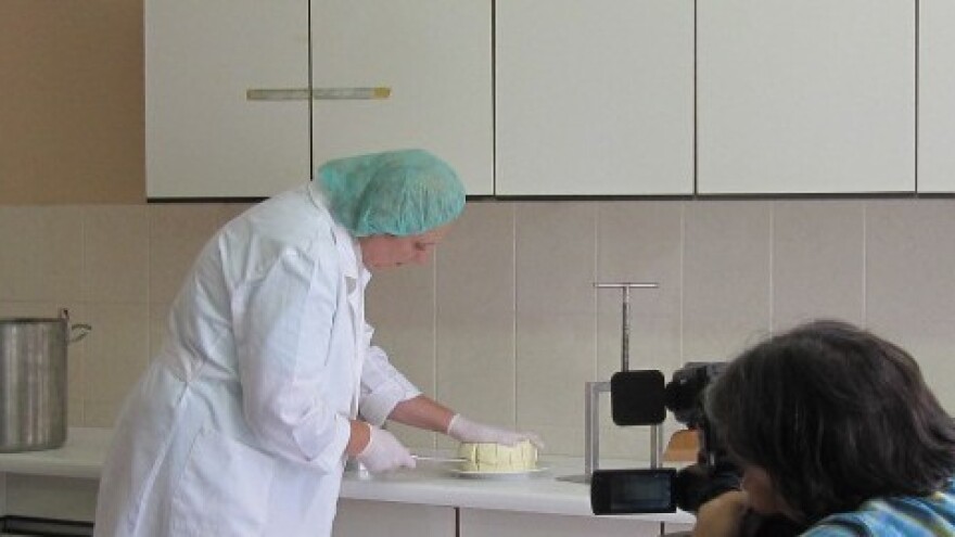 Bilogorski mljekari budućnost vide u - siru!