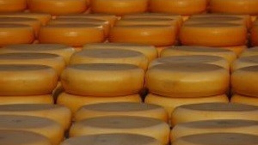 Održano 15. savjetovanje za uzgajivače i 14. izložba hrvatskih ovčjih i kozjih sireva