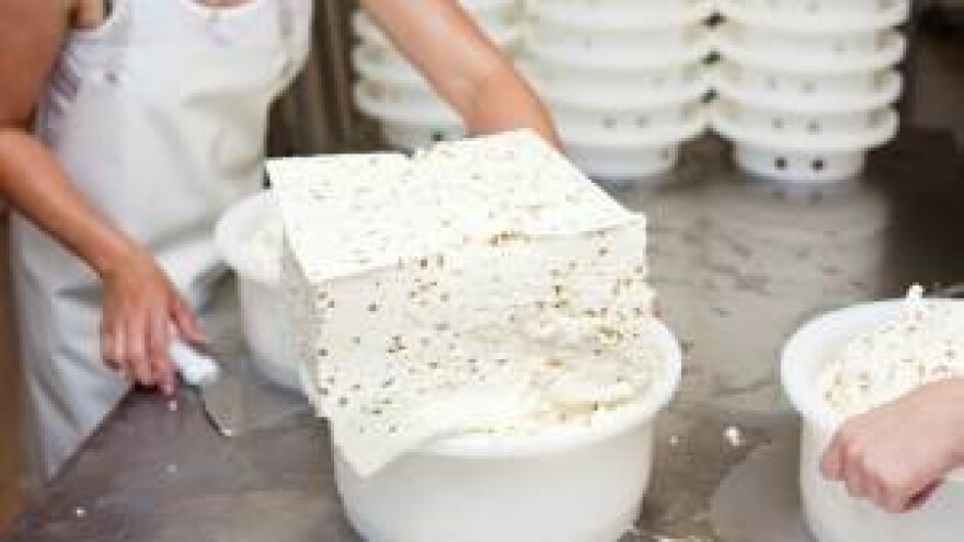 U Virovitici se gradi Centar za mliječne proizvode