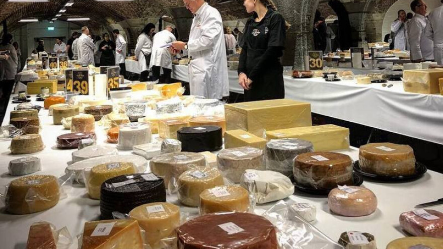 Među 3.500 sireva, 5 nagrada za livanjski