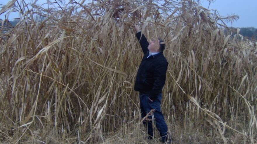 Dodatne potpore za okolišne mjere i do 300 eura!