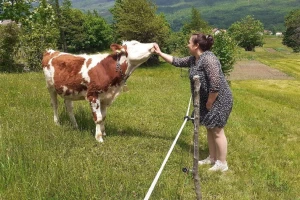 Ne želimo da naše Krasno postane pusto vikend naselje, iako sve tome ubrzano vodi
