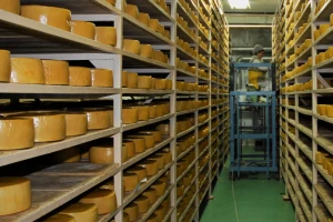 Mlekoprodukt: Proširenjem kapaciteta i sa novim kooperantima do kineskog tržišta