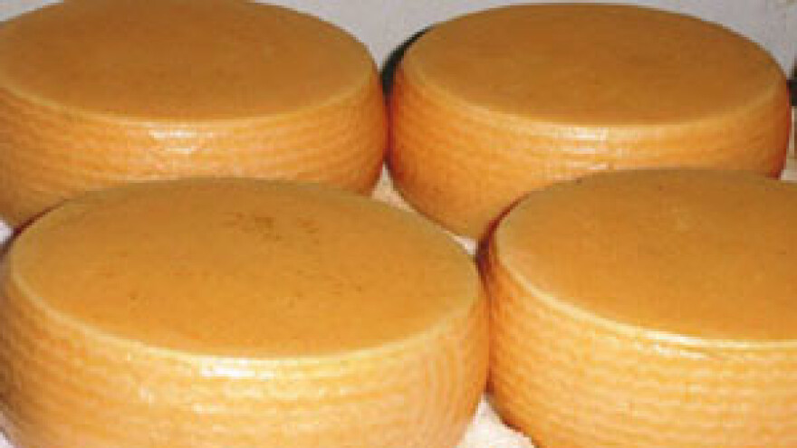 Sirari ogorčeni zbog ukidanja " Dani sira u gradu sira"