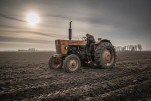 Siromašna slika jesenske sjetve