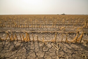 Šišljagić: Prioritet proračuna mora  biti hoće li ljudi imati što jesti