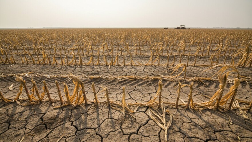 Šišljagić: Prioritet proračuna mora  biti hoće li ljudi imati što jesti