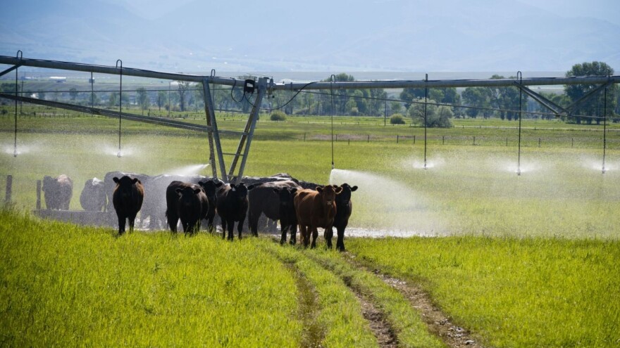 Navodnjavanje bez đubrenja na duge staze upropašćava plodno zemljište