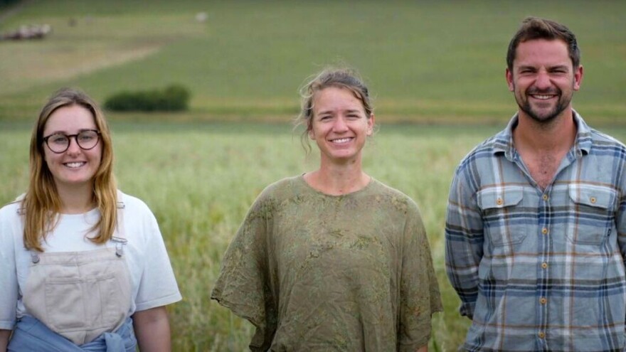 Petnaest centimetara tla i kiša nahrane osam milijardi ljudi?