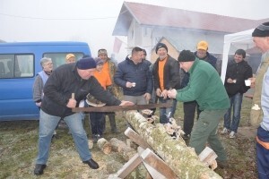 O ilegalnom prometu drva u Osijeku