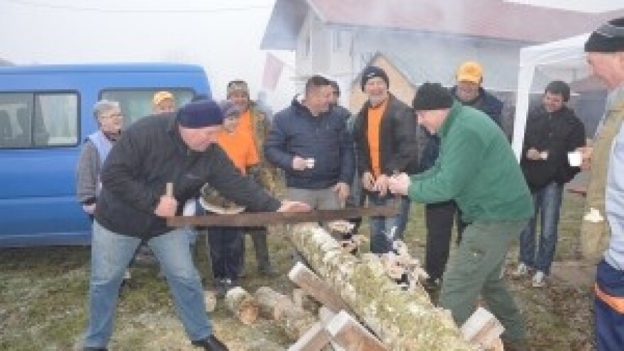 O ilegalnom prometu drva u Osijeku