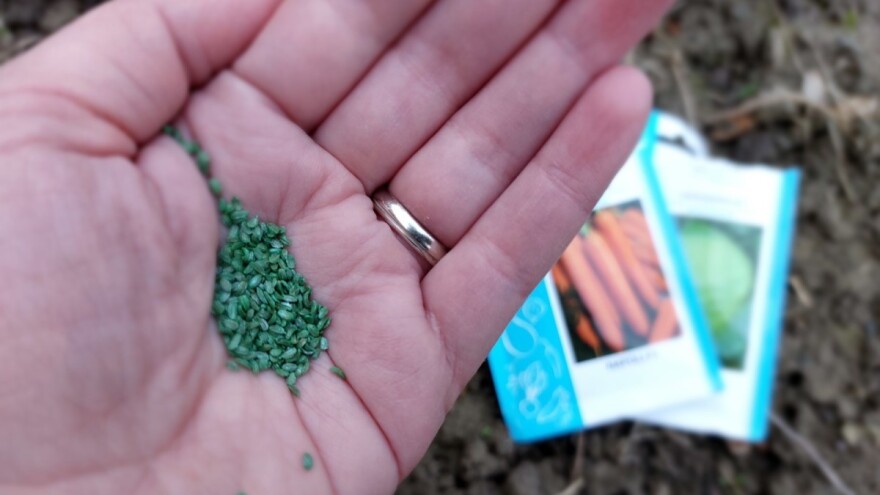 Šta znači kada je sjeme za sjetvu obojeno u neku boju?