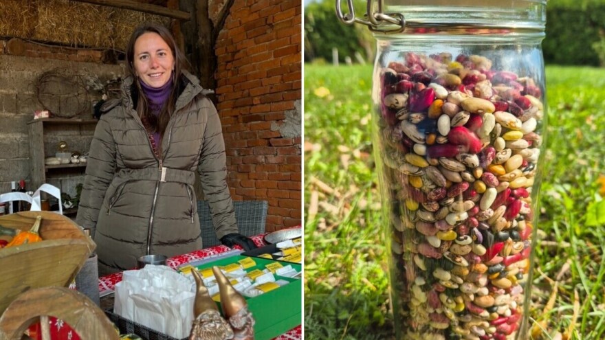 Kako dobiti otporno sjeme?