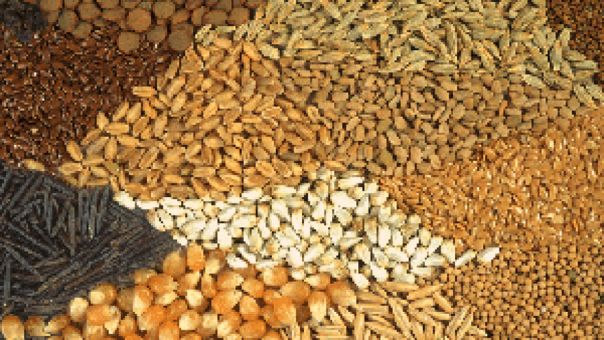 Žito kupilo Sjemenarstvo