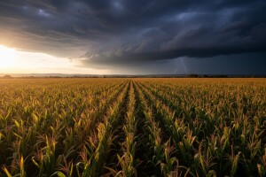 Sjeme zla još uvijek je daleko od hrvatskog tla!